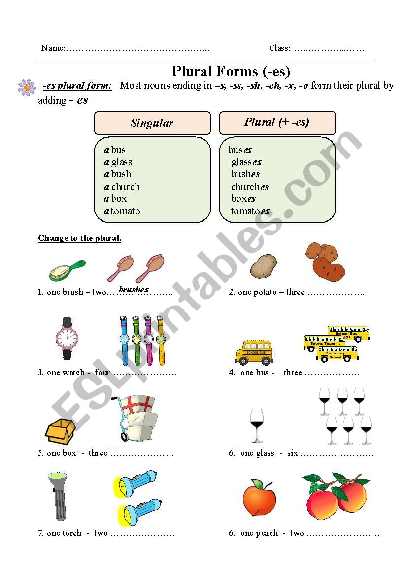 Plural form (-es) worksheet