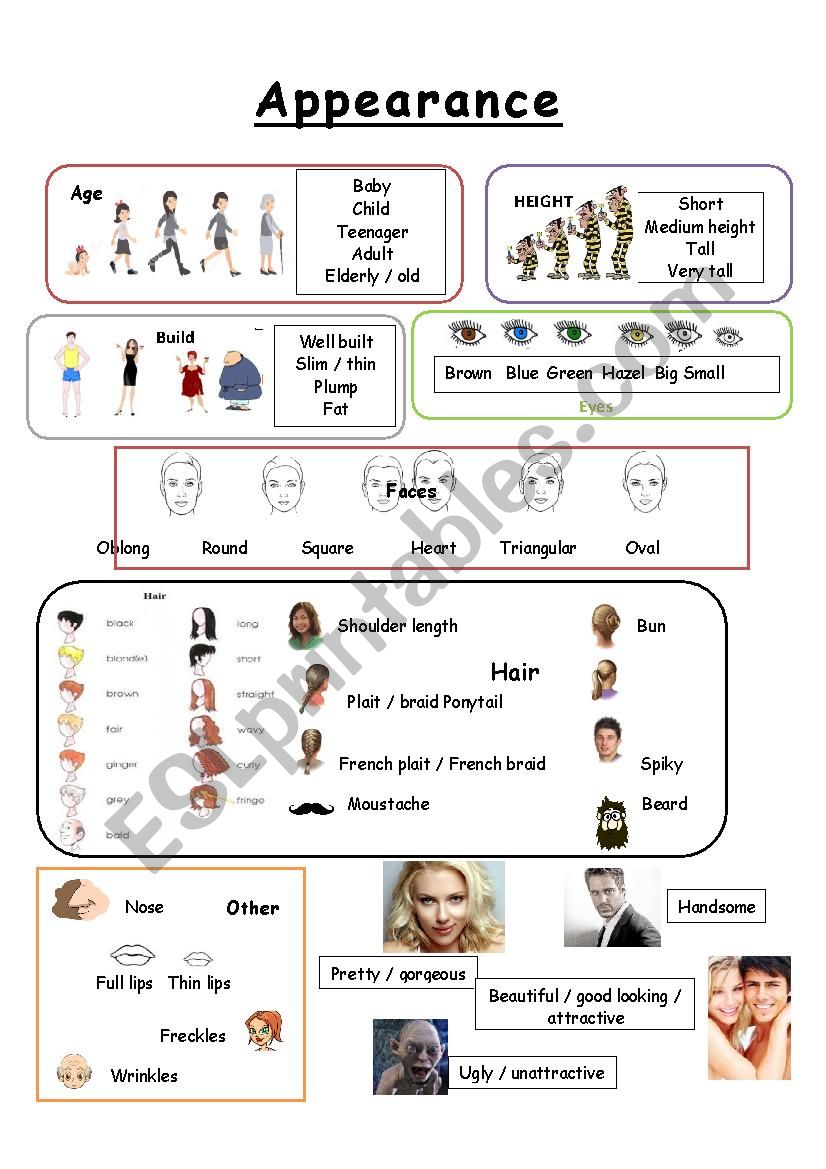 Description worksheet