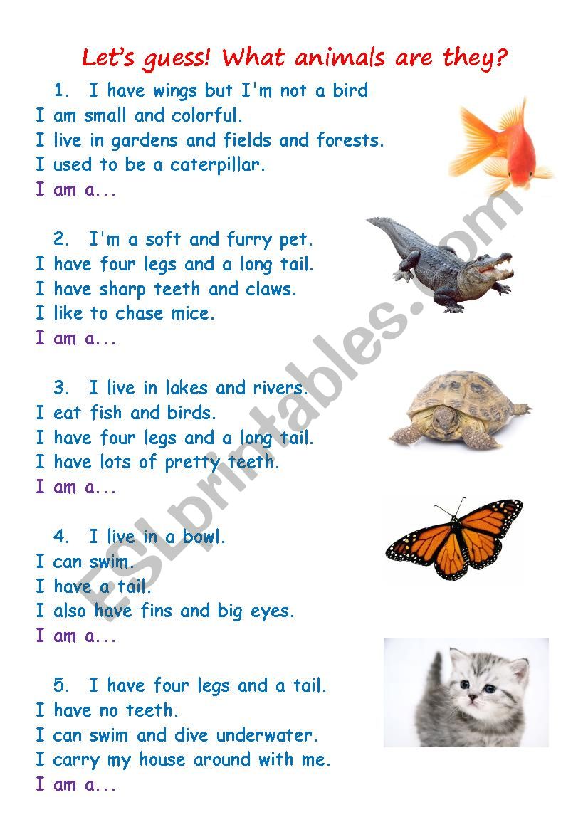 Riddles worksheet