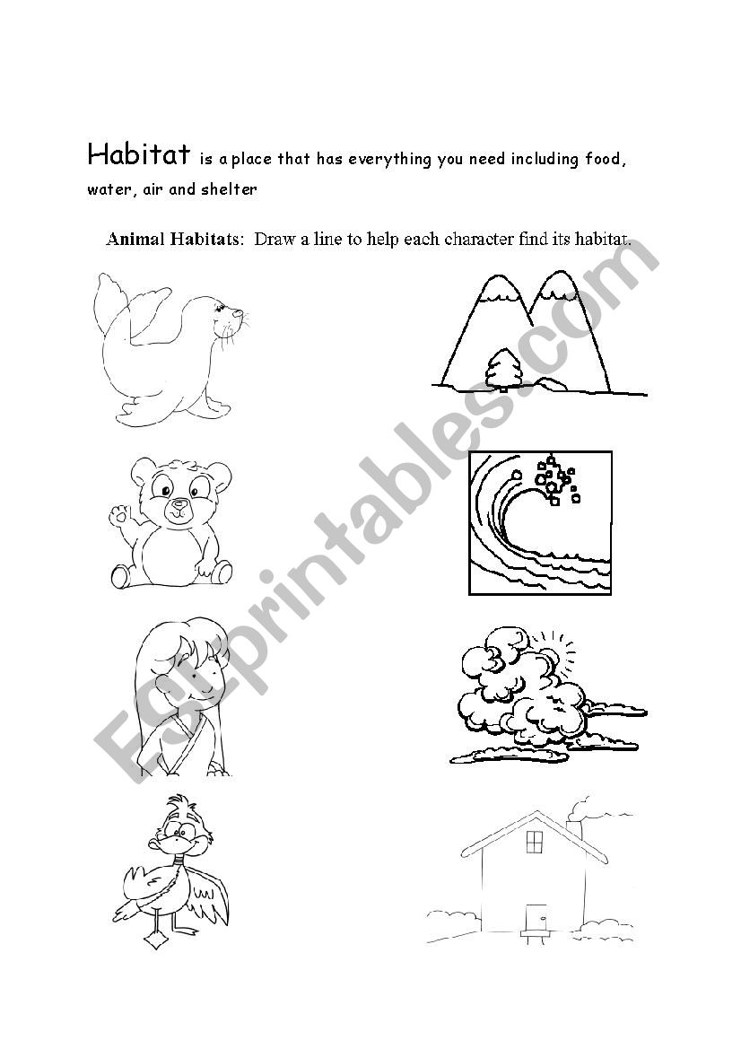 Habitats worksheet