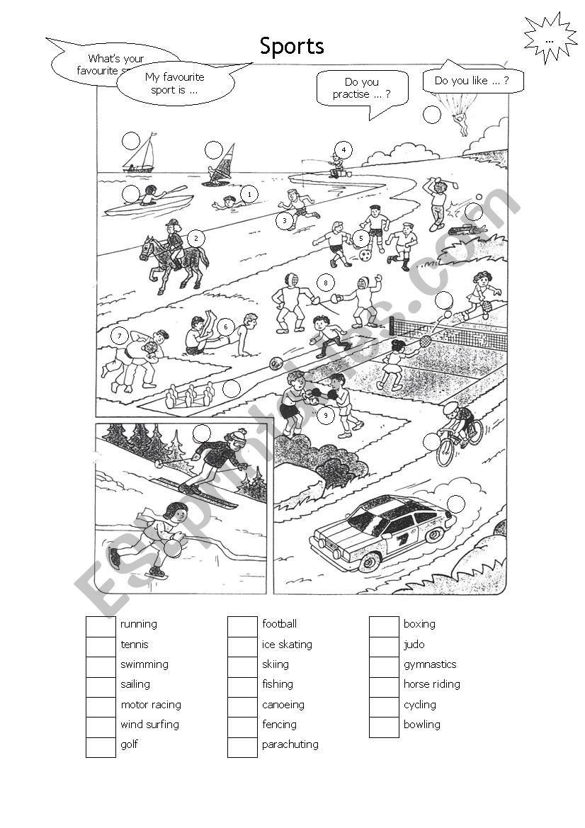 Sports worksheet