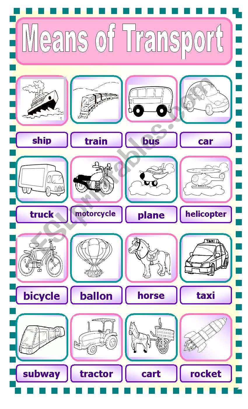 Means of Transport worksheet