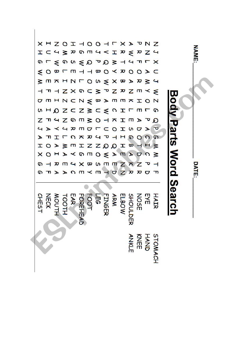 Body parts wordsearch worksheet