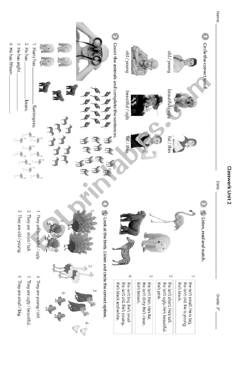 Animals and adjectives worksheet