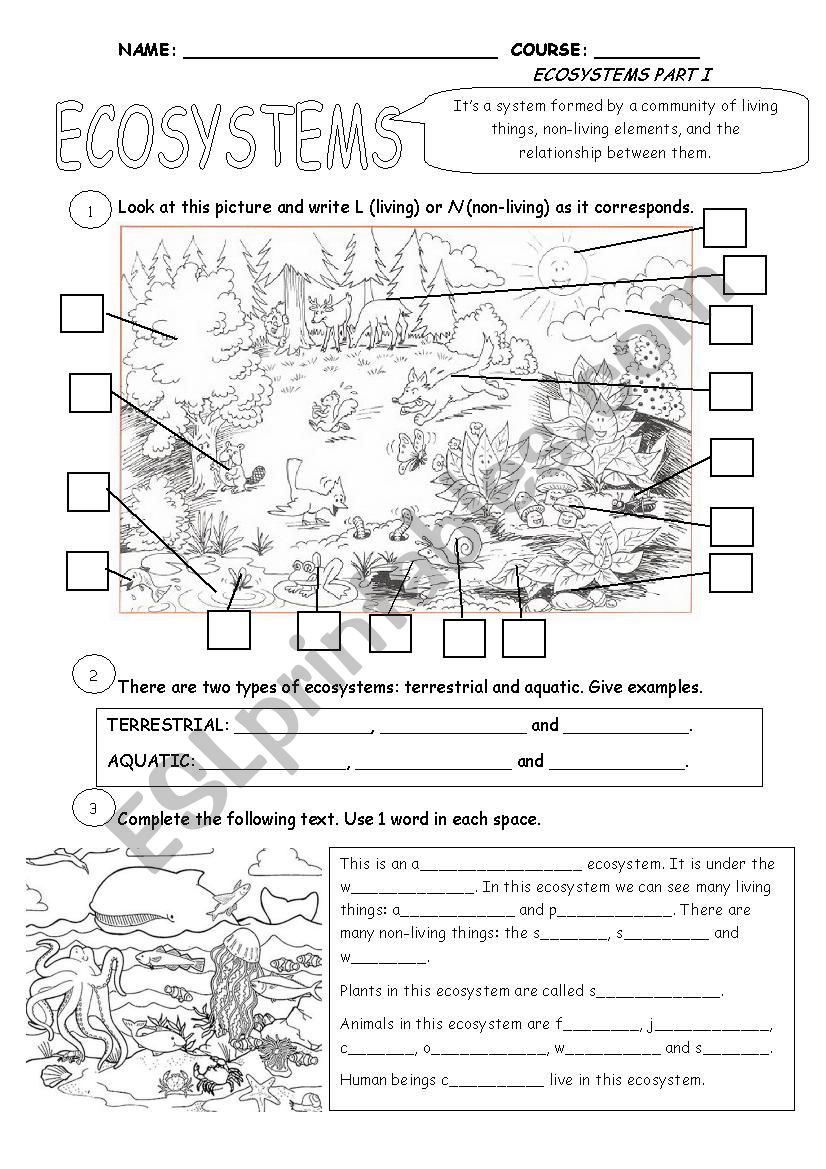 Ecosystems Part 1 worksheet