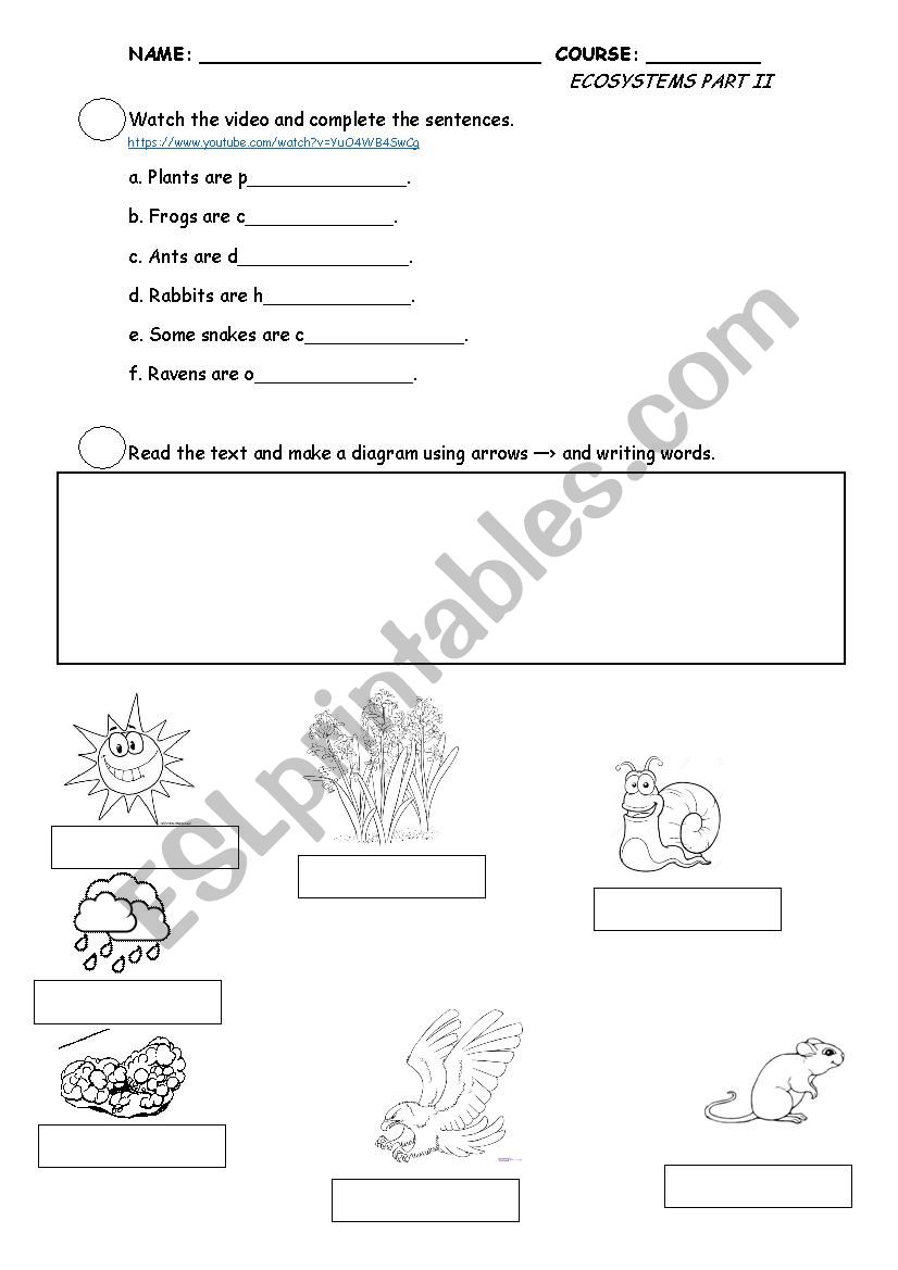 Ecosystems Part 2 worksheet