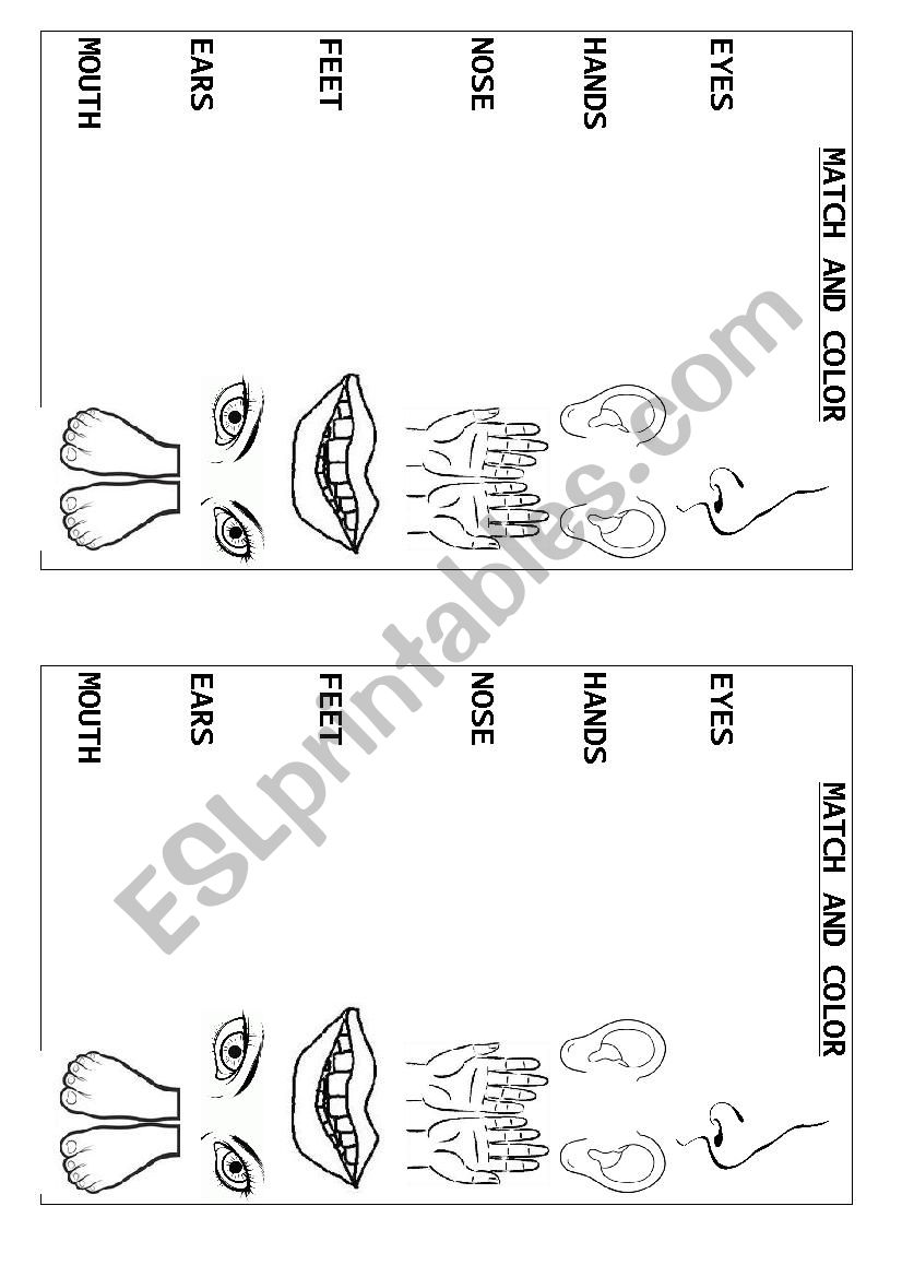 MATCH AND COLOR worksheet