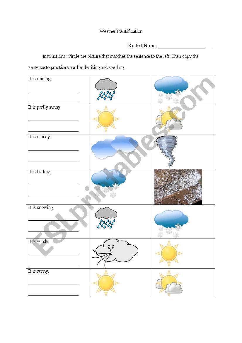 Weather Identification worksheet