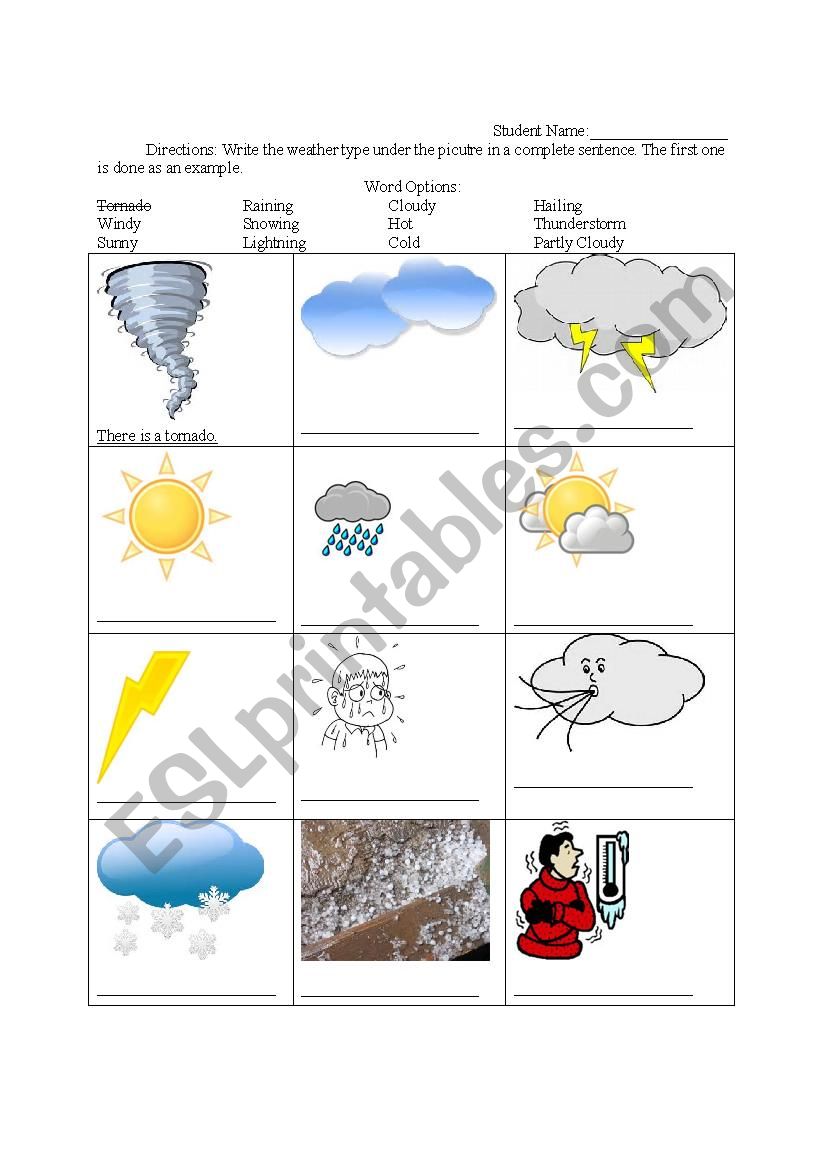 Weather Worksheet worksheet