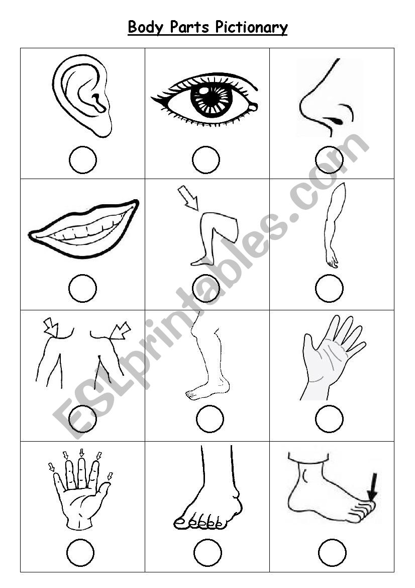 Body Parts Vocab worksheet