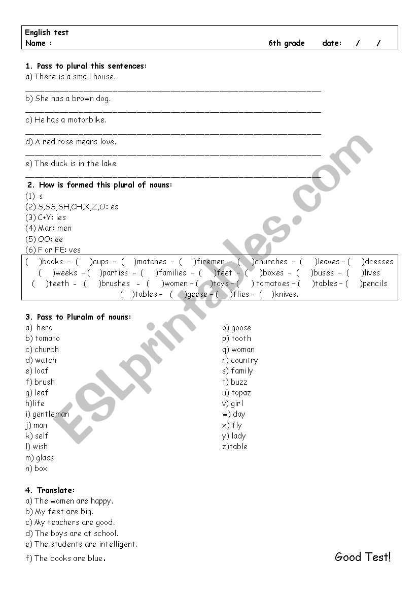 Plural test worksheet