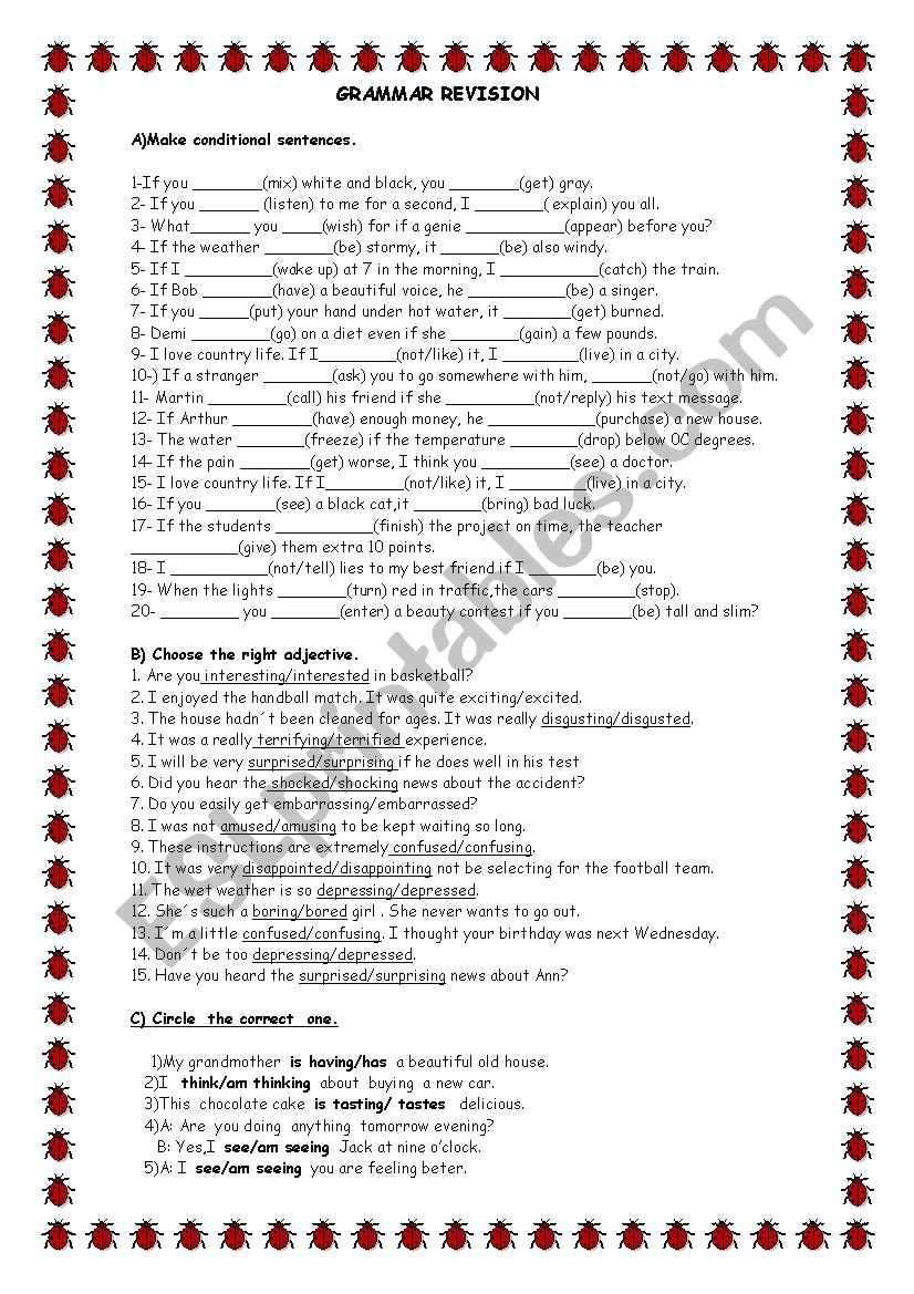 Grammar Revision worksheet