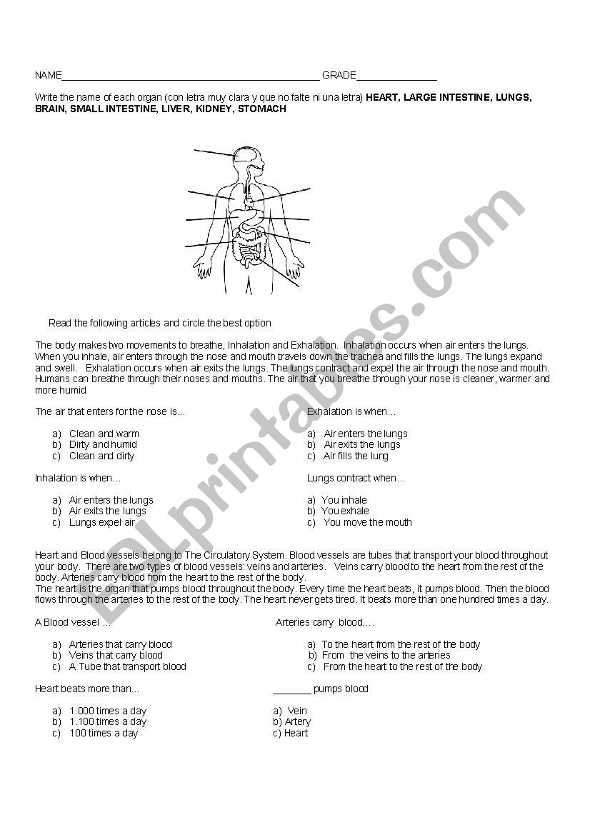 organs and systems worksheet