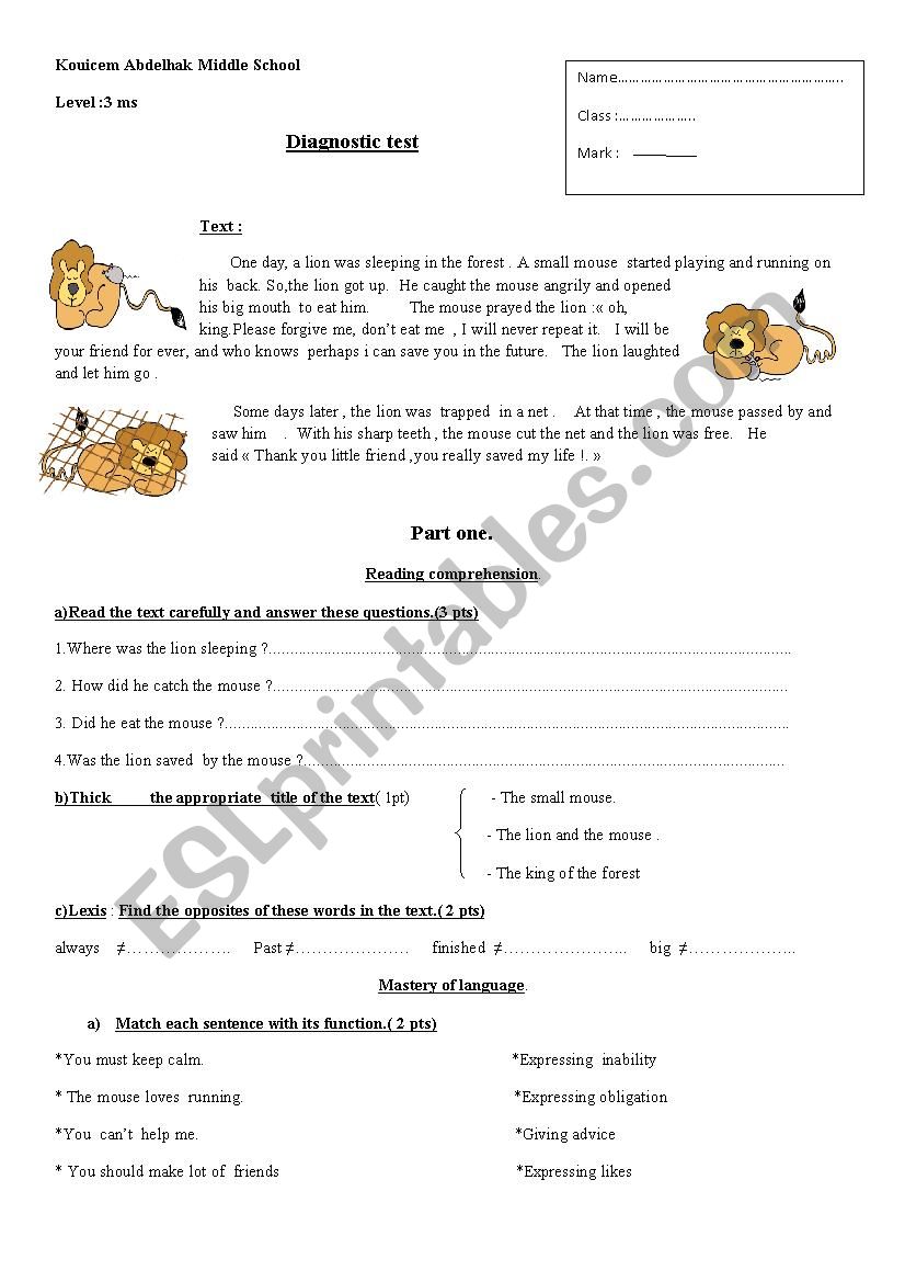 test for middle elemenary worksheet