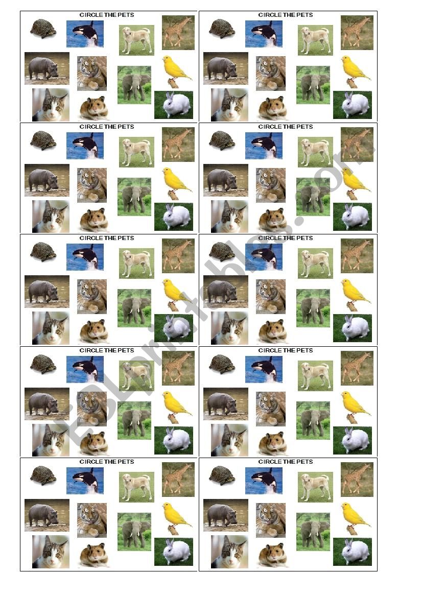 Circle the pets worksheet