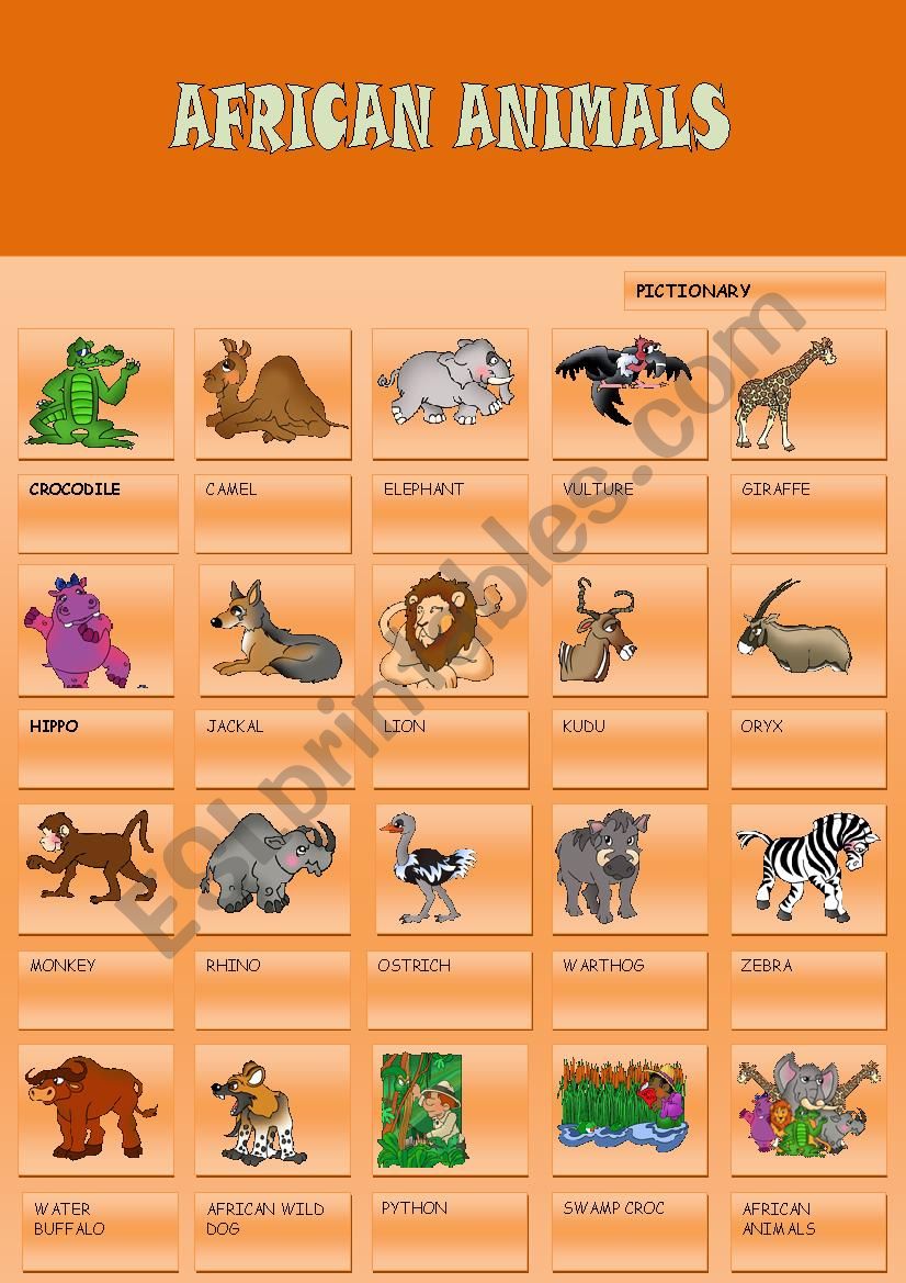 AFRICAN ANIMALS worksheet