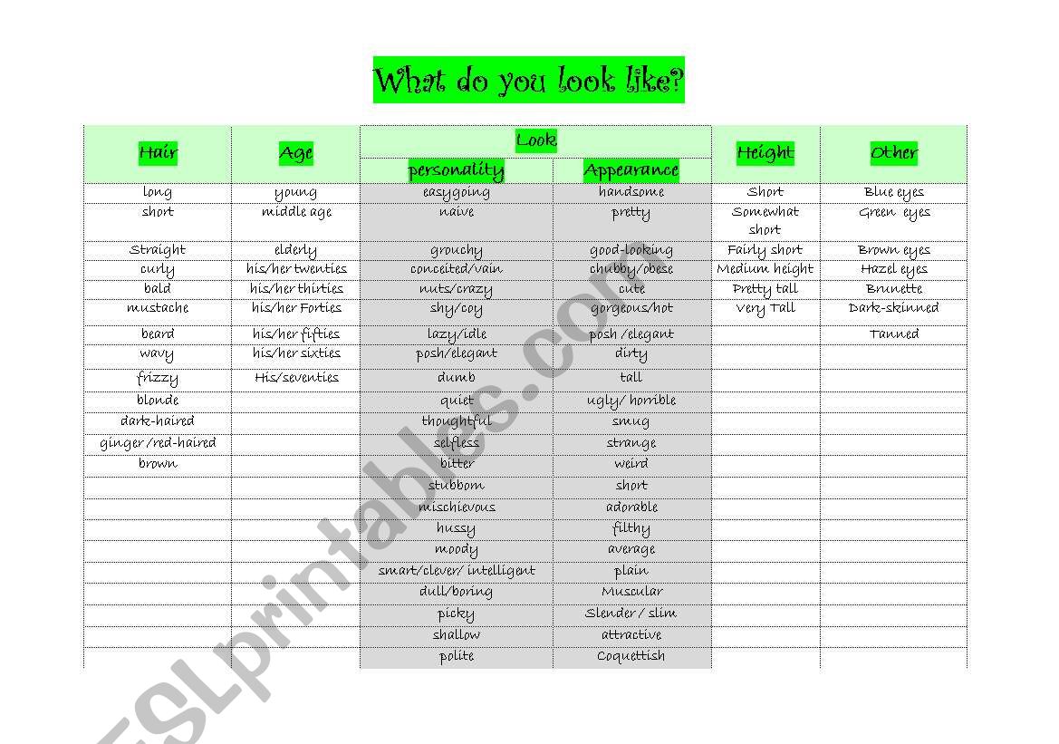 What do you look like? worksheet