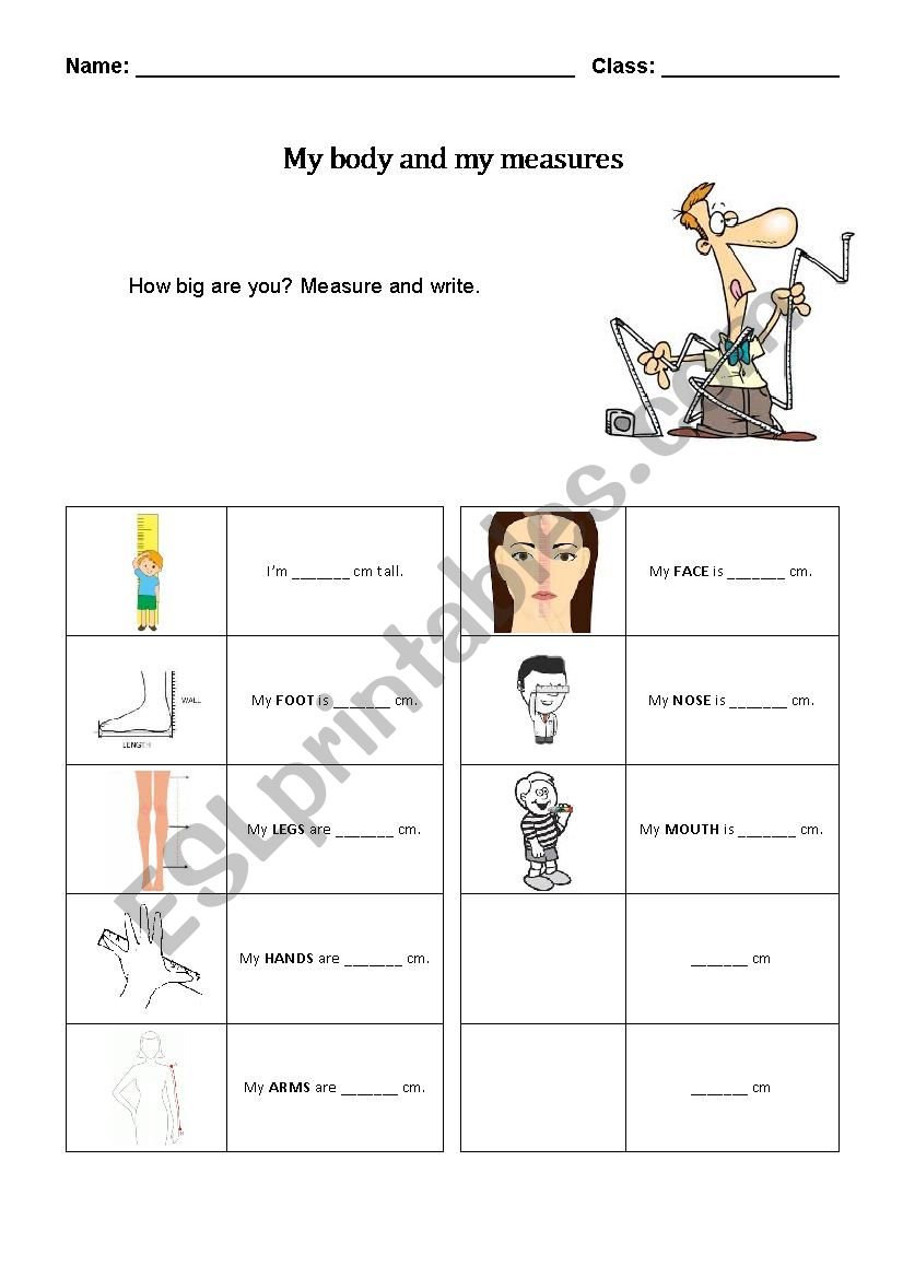 Body measurement worksheet