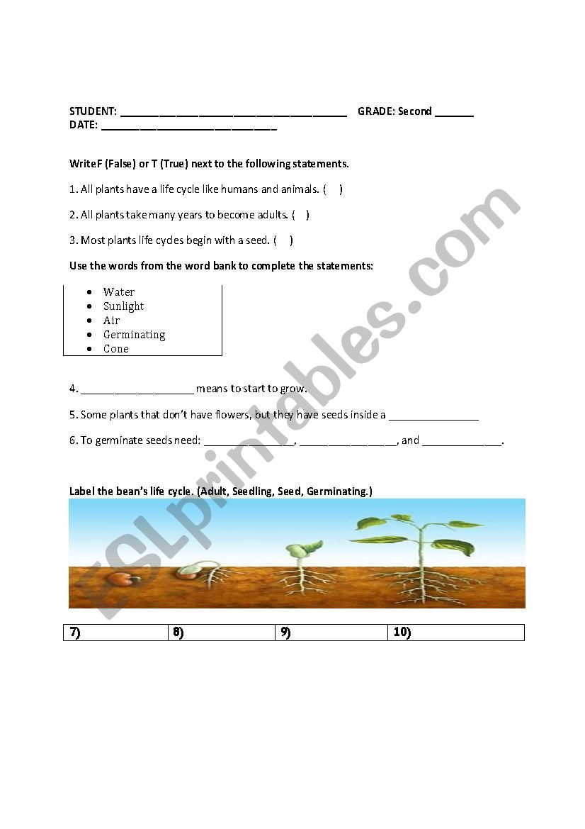 Quiz about plants worksheet