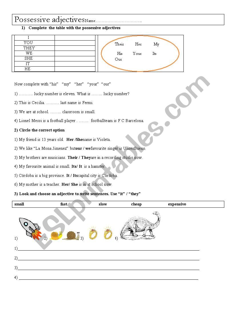 Worksheet to practise possessive adjectives and the verb to be to describe objects or animals
