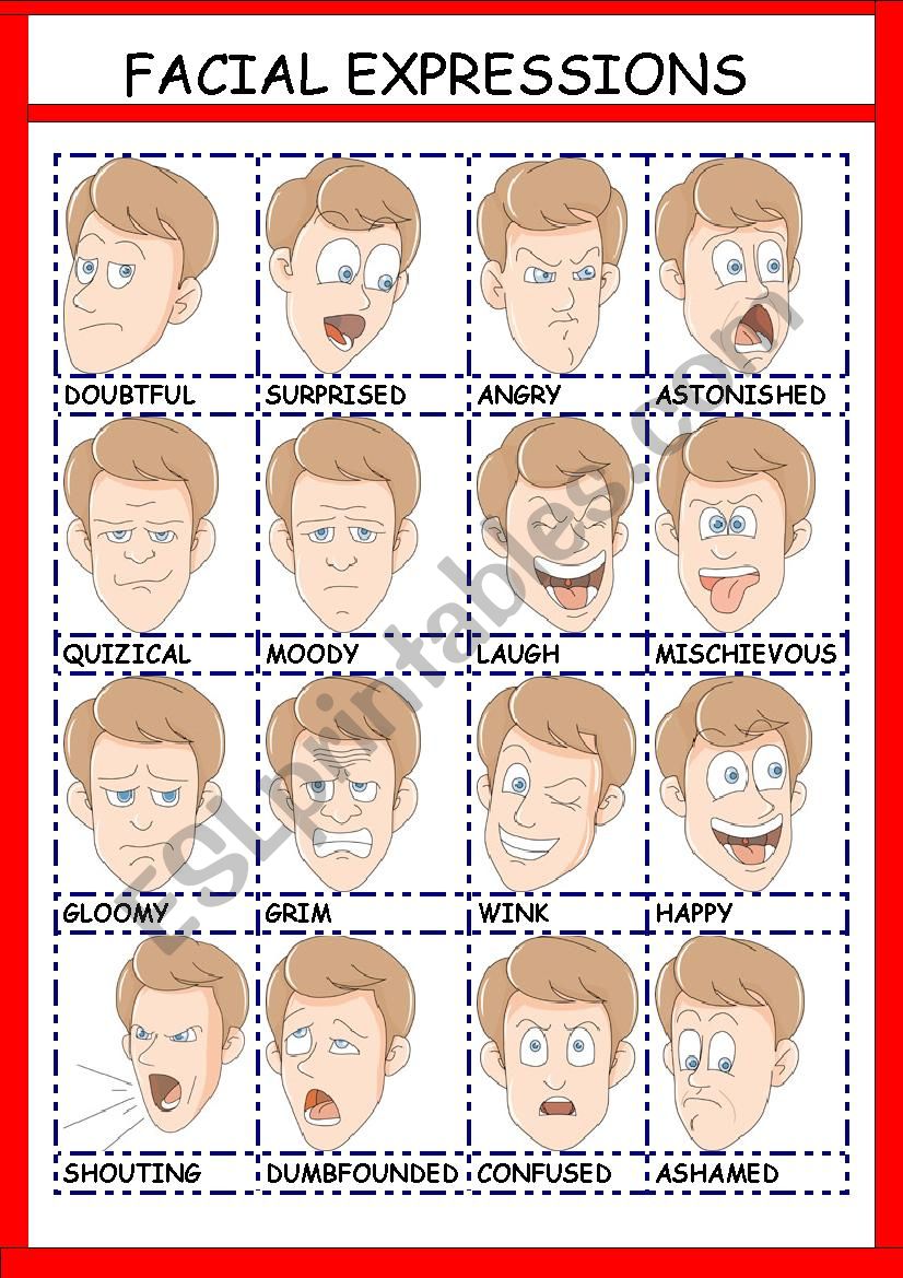 FACIAL EXPRESSIONS worksheet