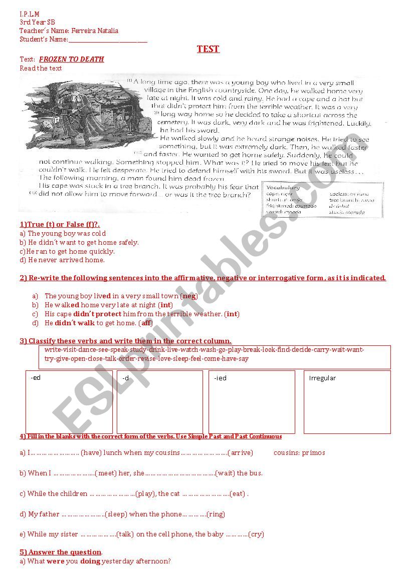 Test Simple Past  worksheet