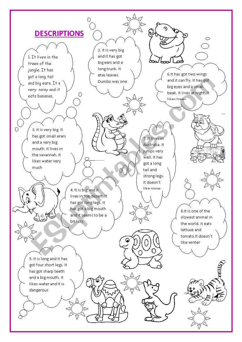 describing animals worksheet