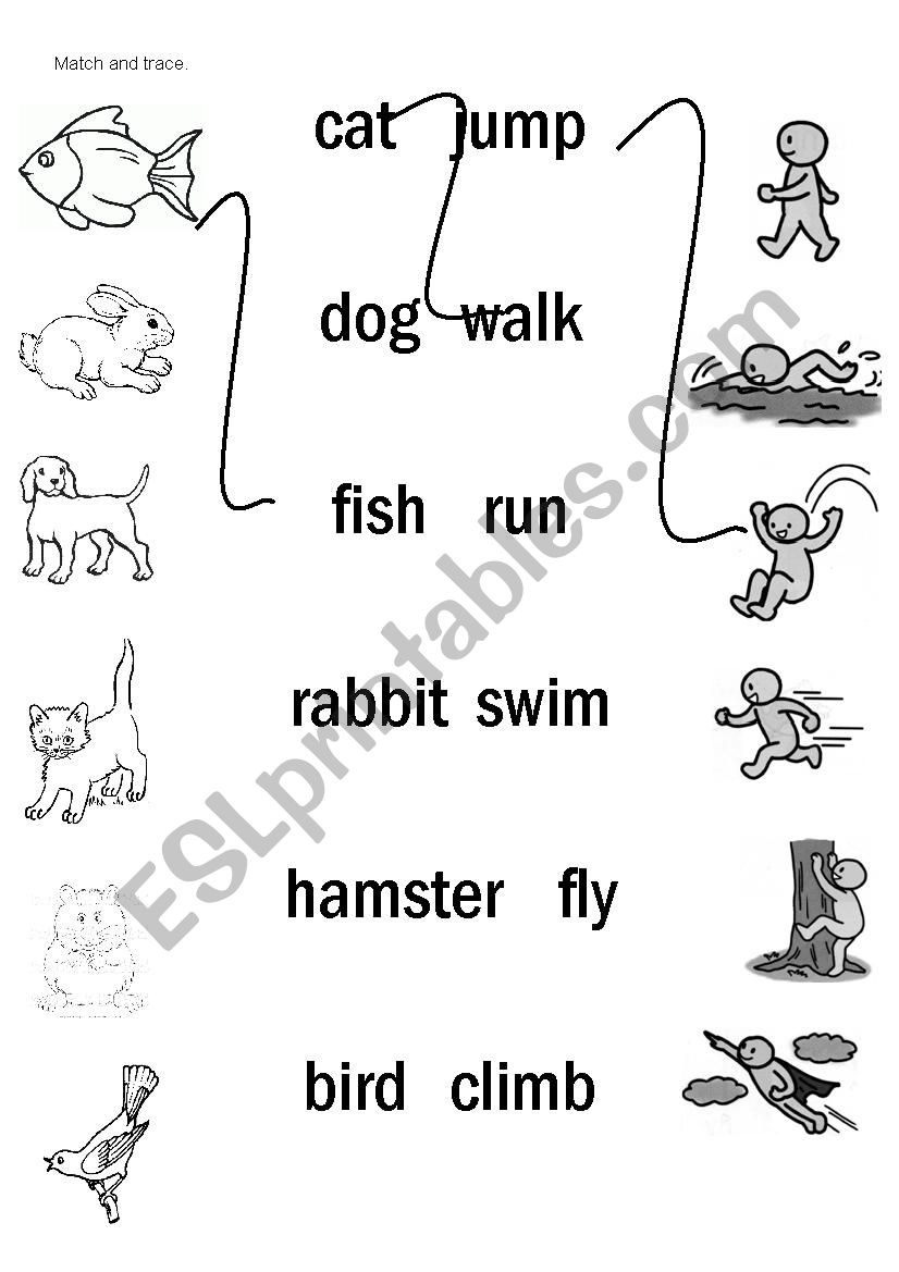 pets-3-p1-esl-worksheet-by-lingbar