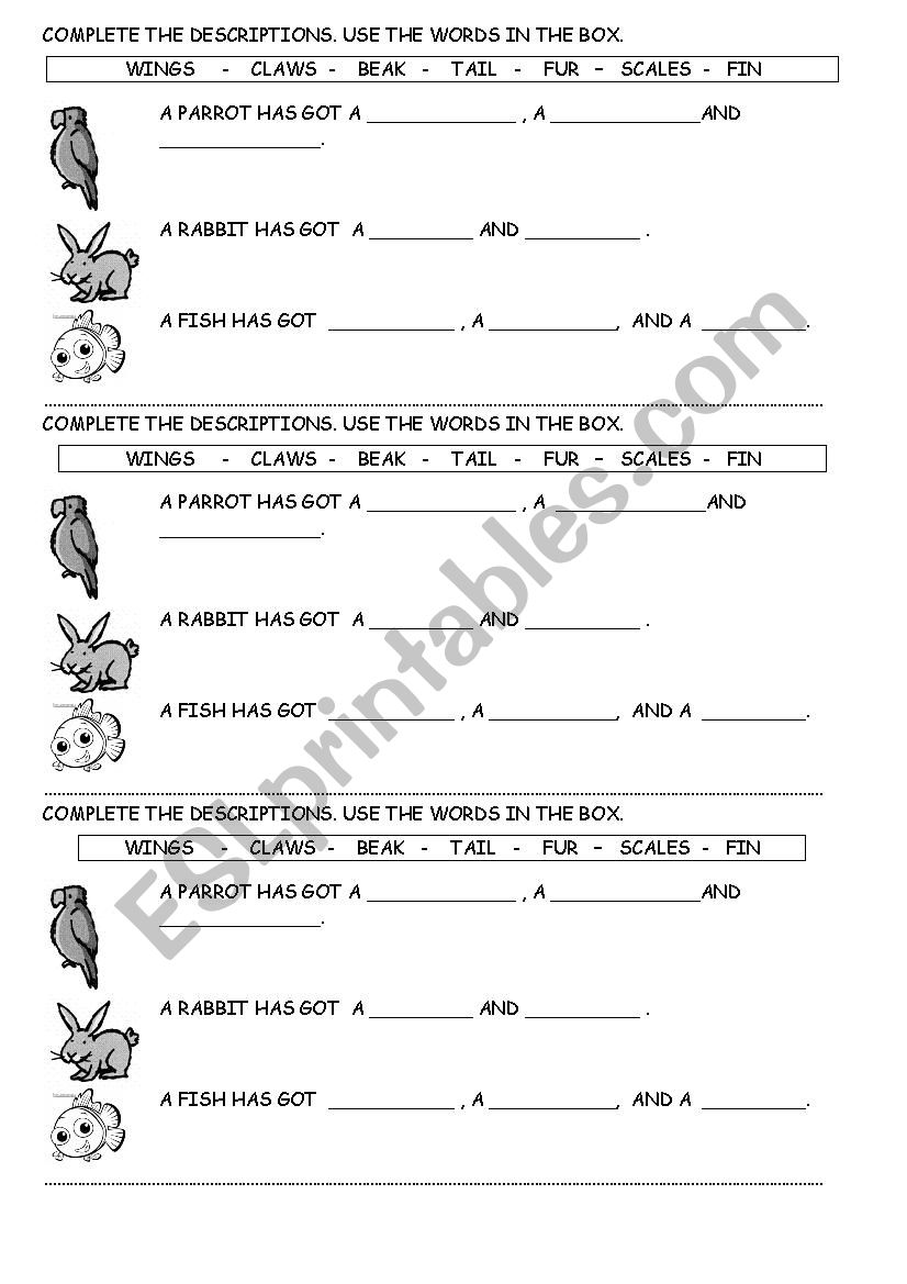 Wild, pets and farm animals worksheet