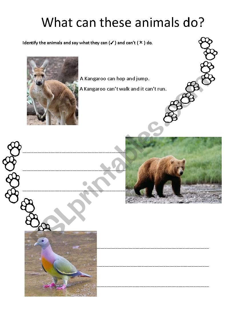 What can these Animals do? worksheet