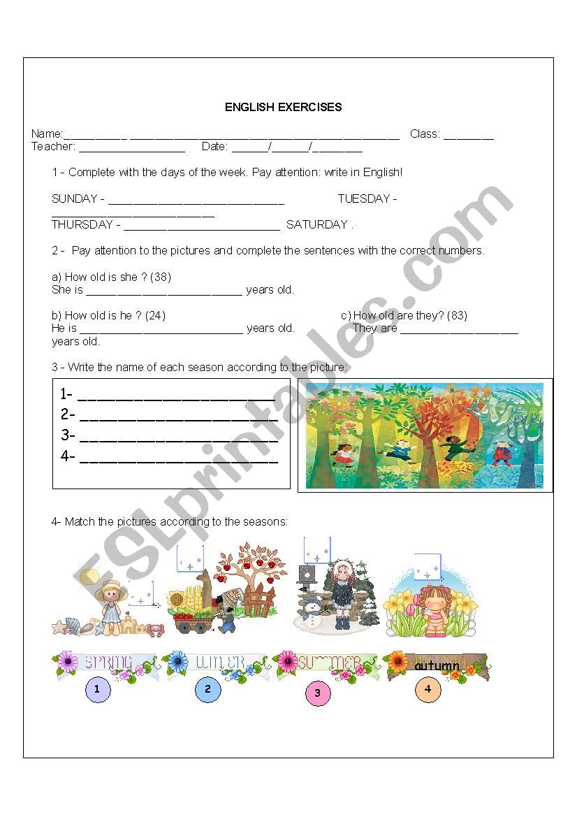 English exercises worksheet