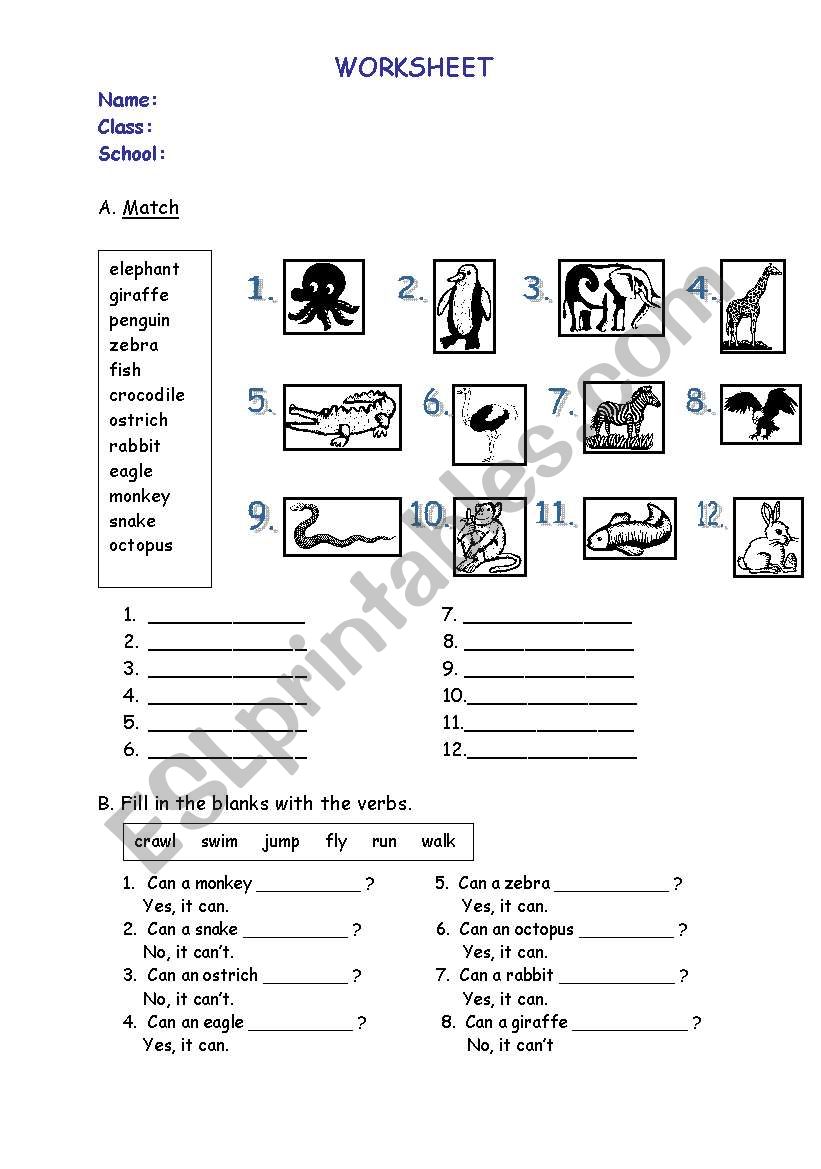 animals, can, verbs worksheet