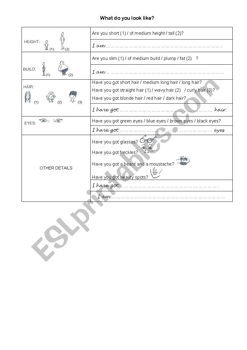 What do you look like ? worksheet