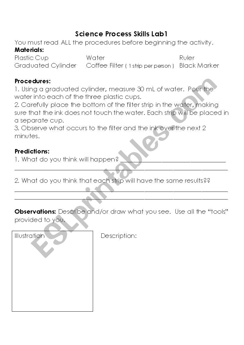 Process skill lab worksheet