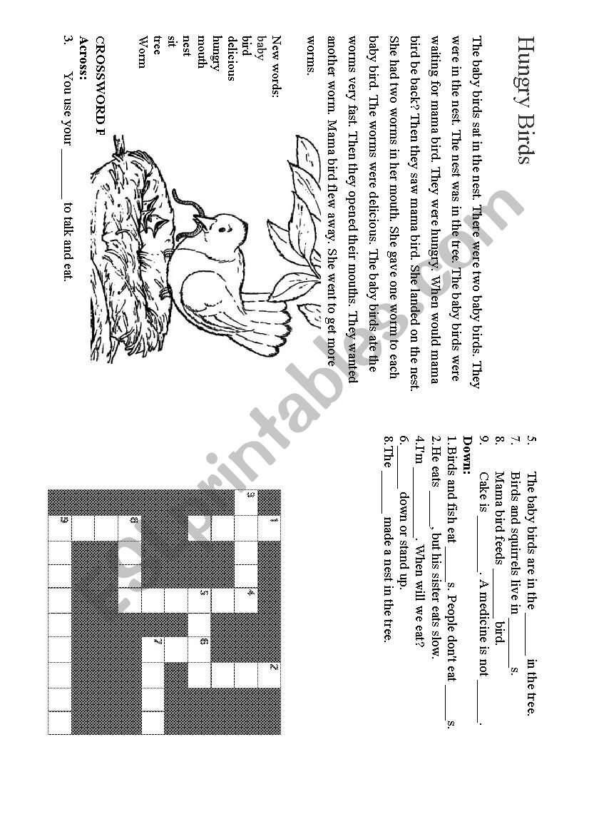 Hungry Birds Story and Crossword