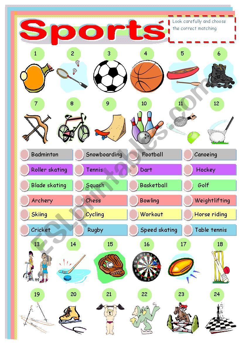 Match th names of the various sports