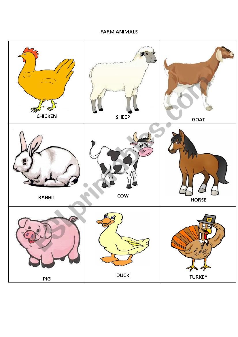 FARM ANIMALS worksheet