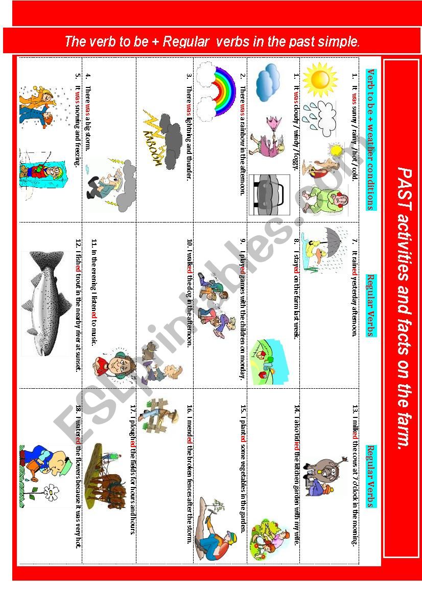 Past activities and facts on the farm.  (Reg and Irregular verbs in context.)