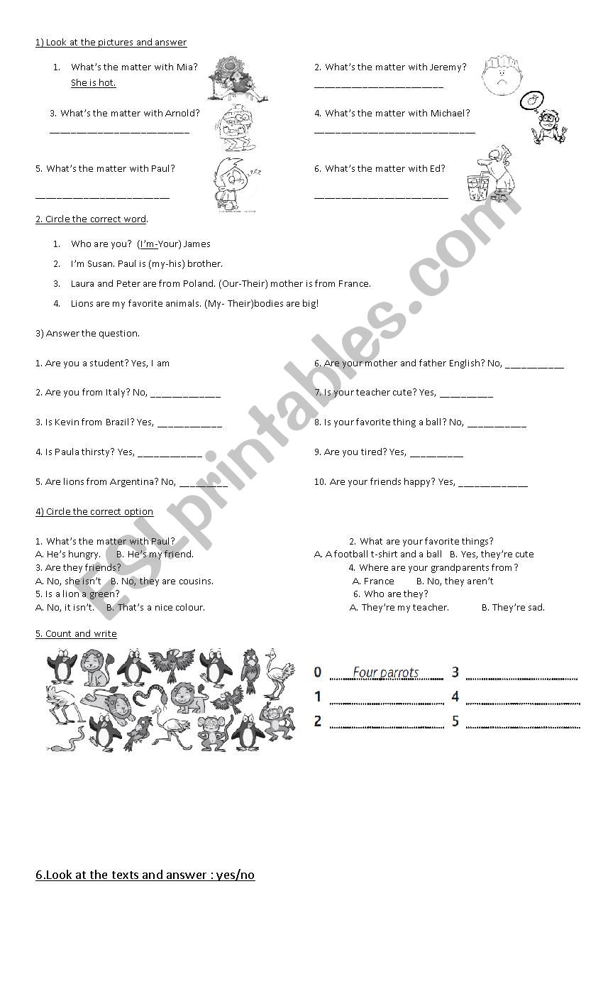 Present simple verb to be worksheet