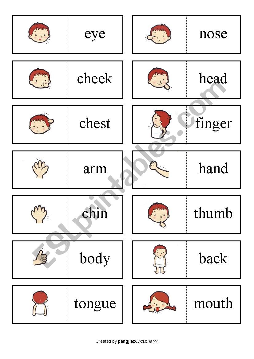 DOMIMO - BODY VOCAB worksheet