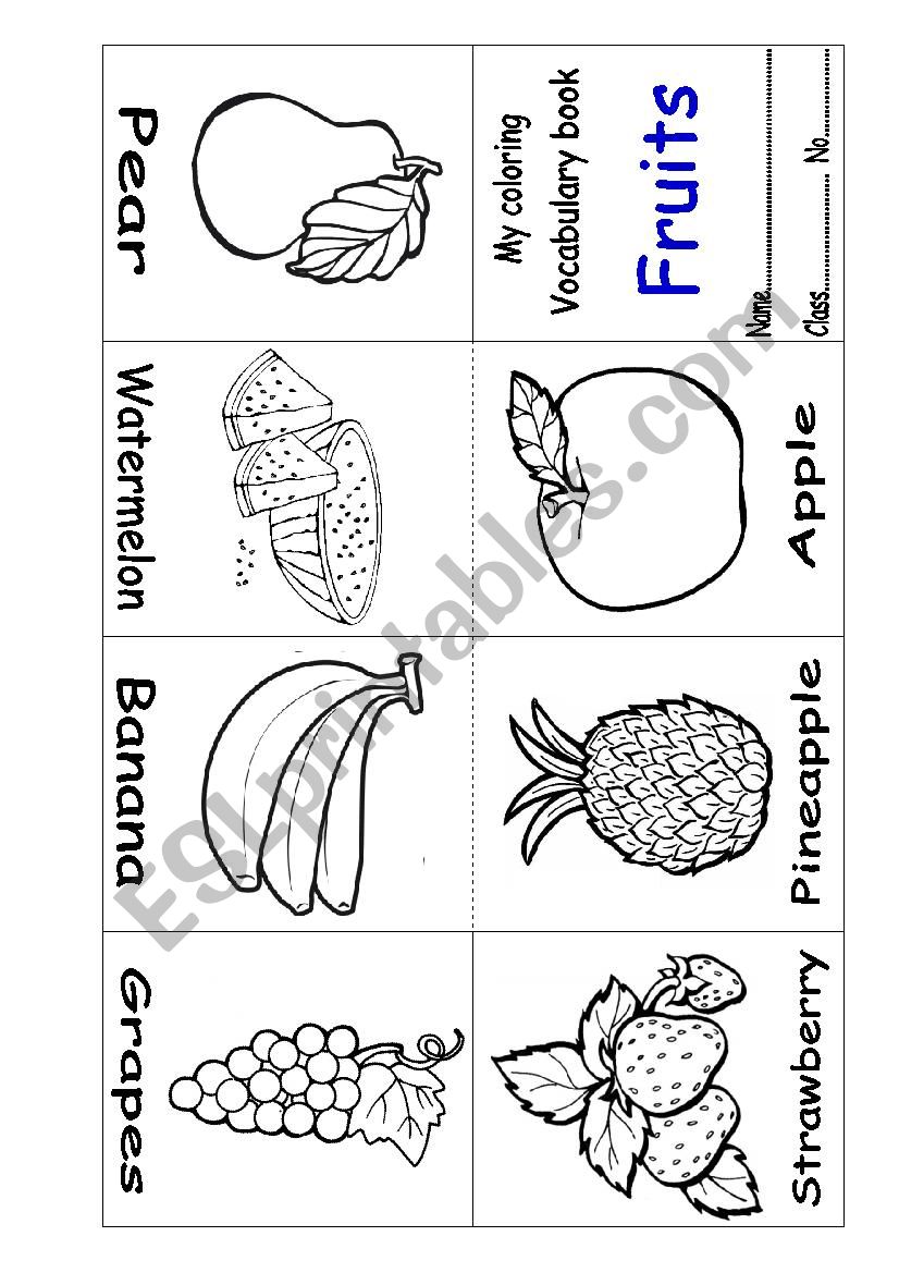 small book  worksheet