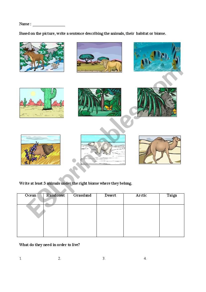 Biomes worksheet