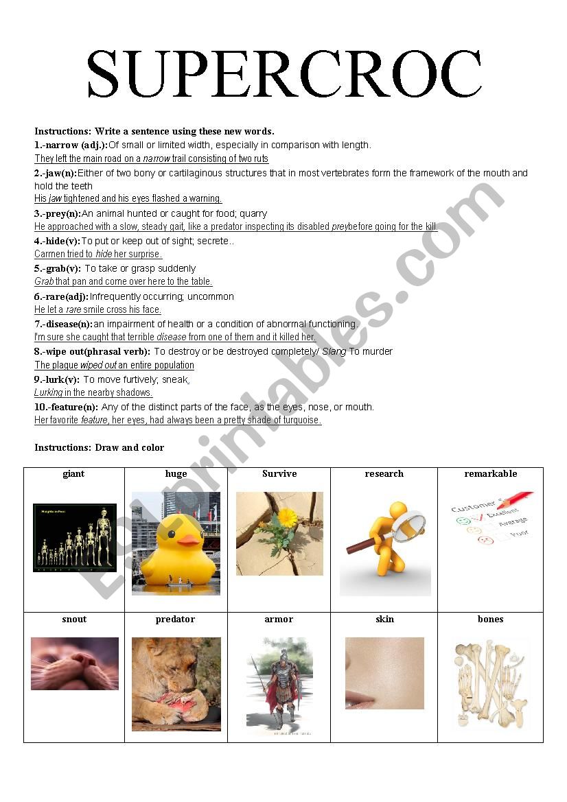 Supercroc reading worksheet