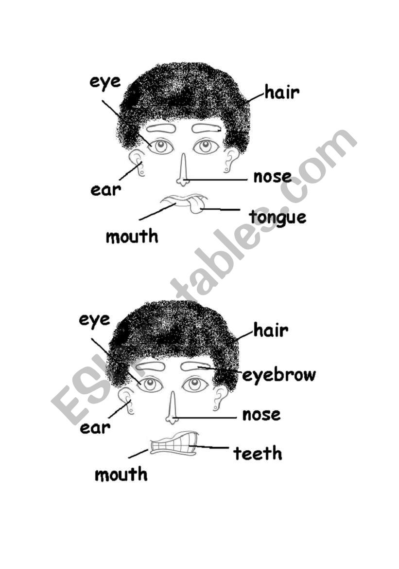 Face activity part 1 worksheet