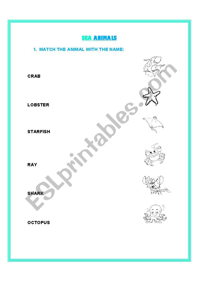 Sea Animals worksheet