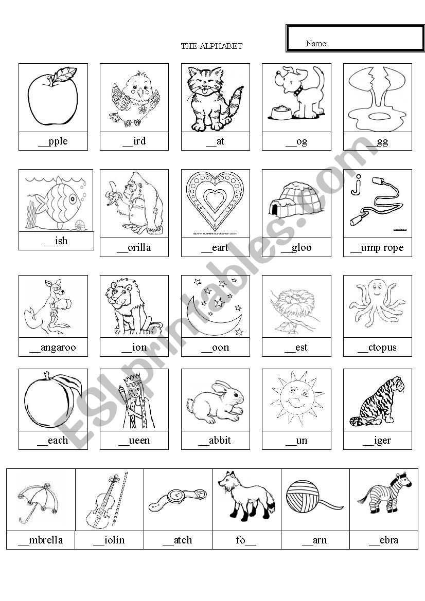 Alphabet worksheet