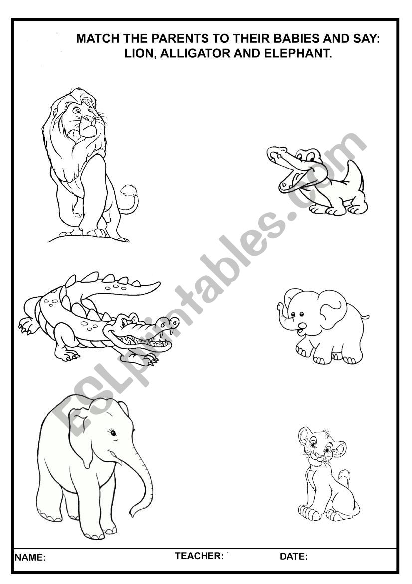 Animals worksheet