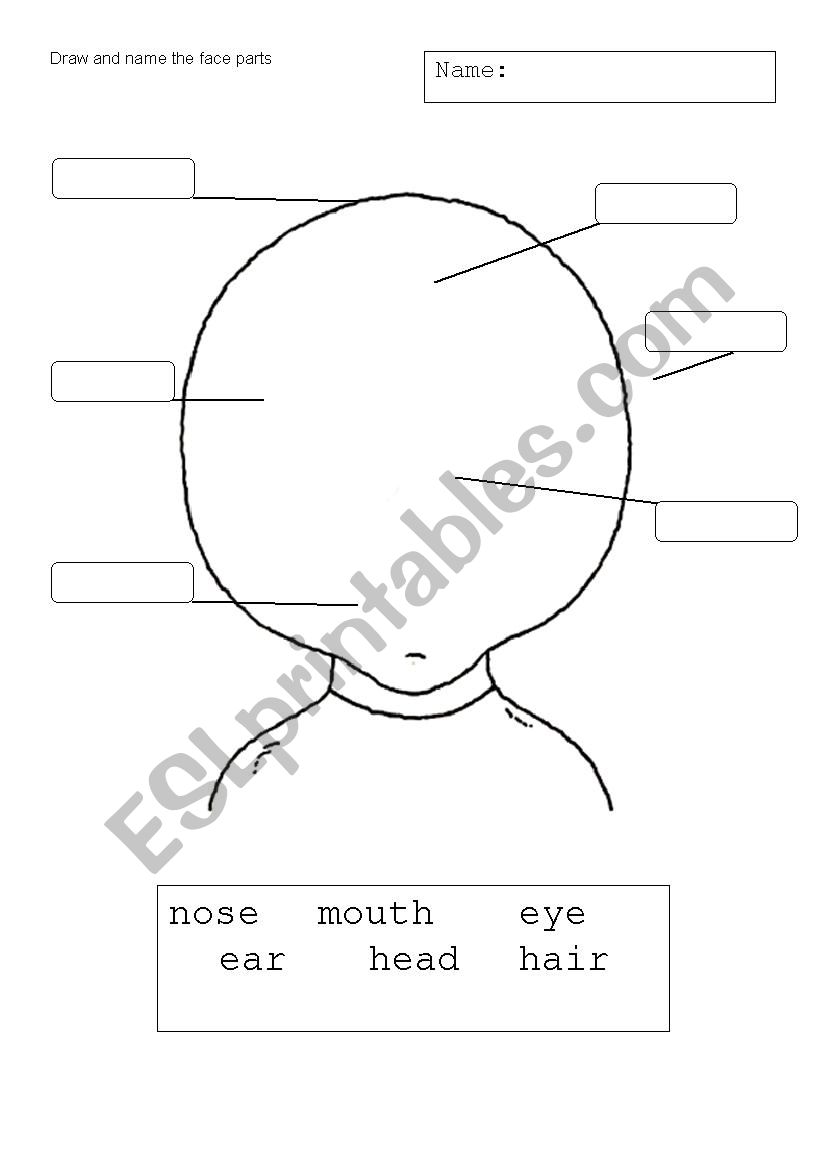 Face vocabulary P1 worksheet