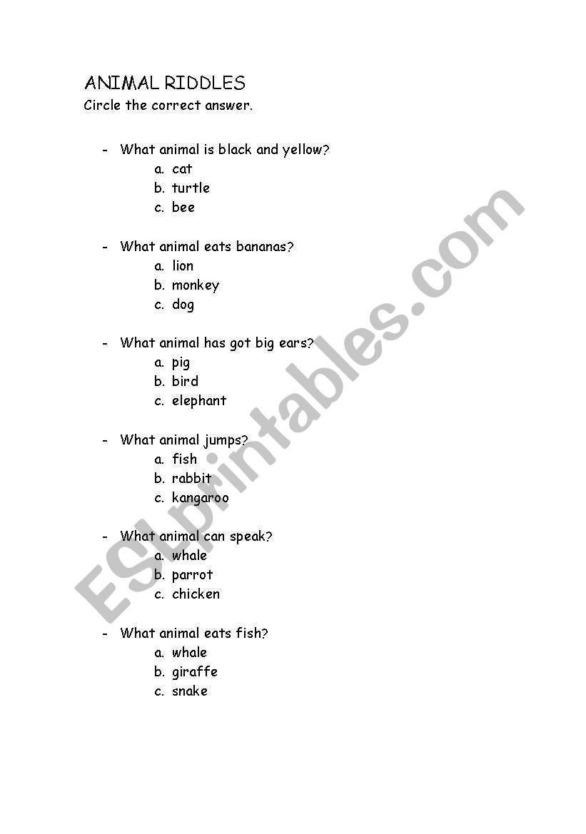 animal riddles worksheet