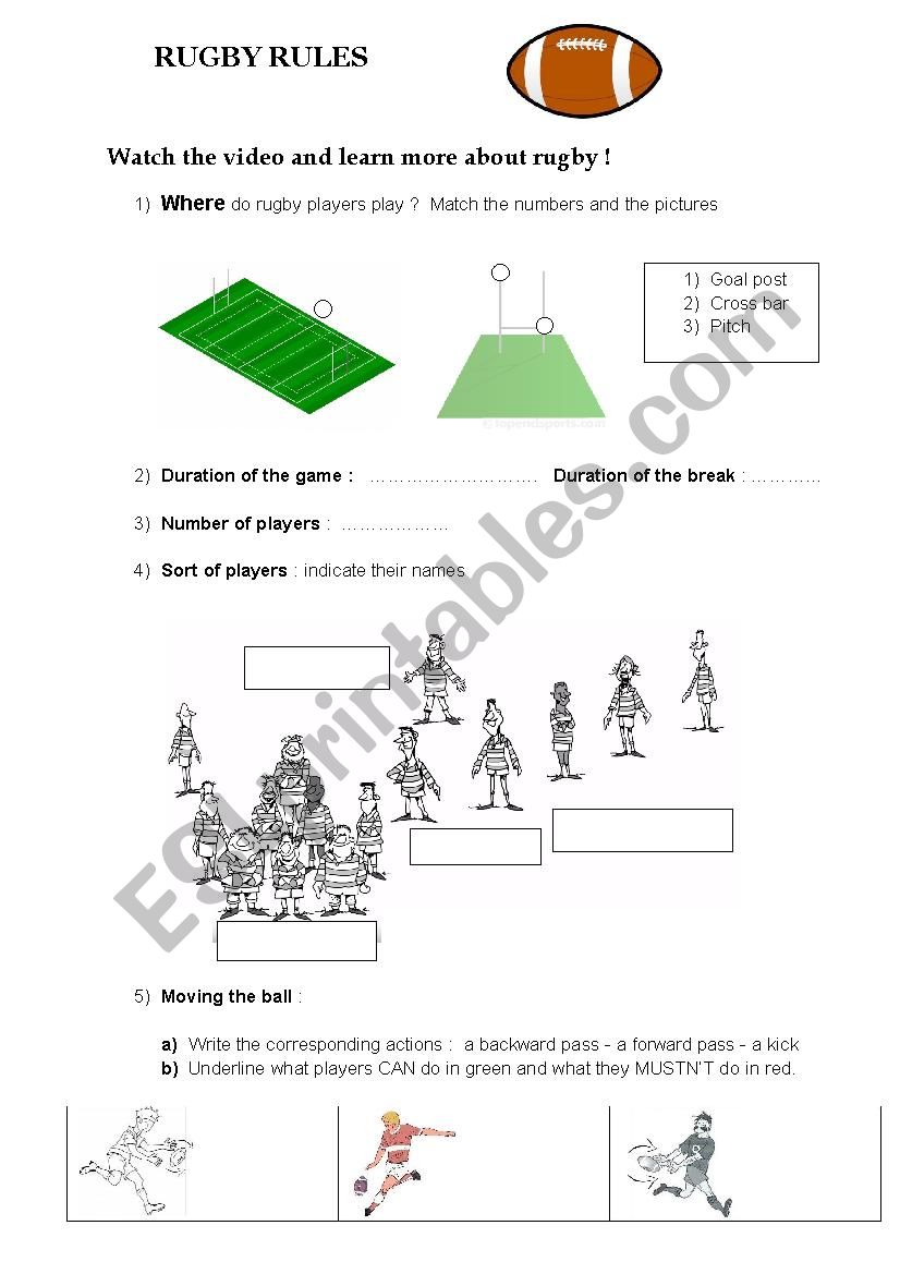 Rugby rules worksheet